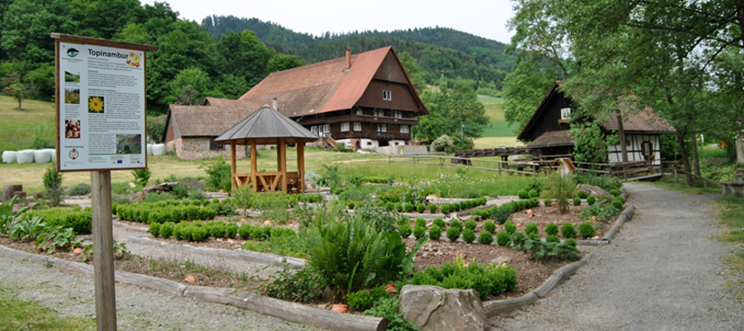 Heil-Kräuter-Garten