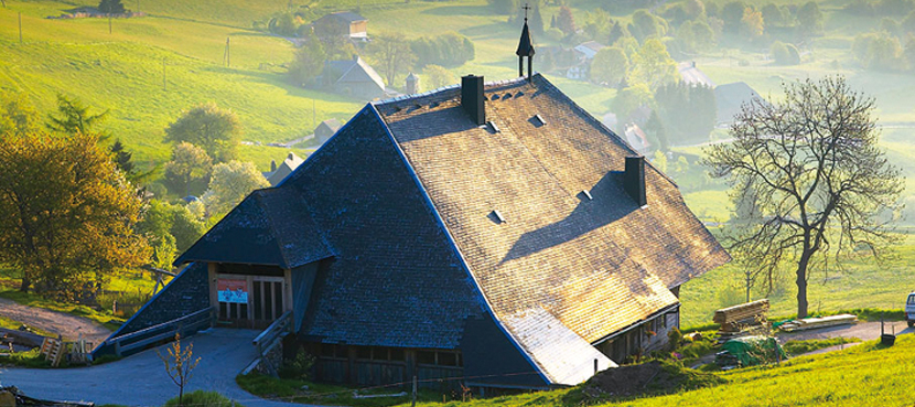 Wandern im Hochschwarzwald