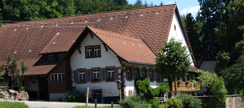 Vogt auf Mühlstein