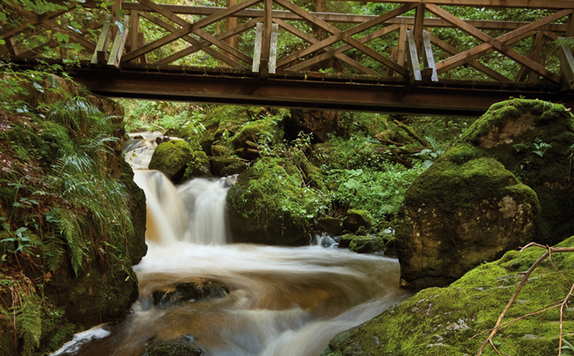 Heimatpfad – Löffeltal – Ravennaschlucht