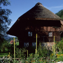 Landwasserhofmühle Elzach