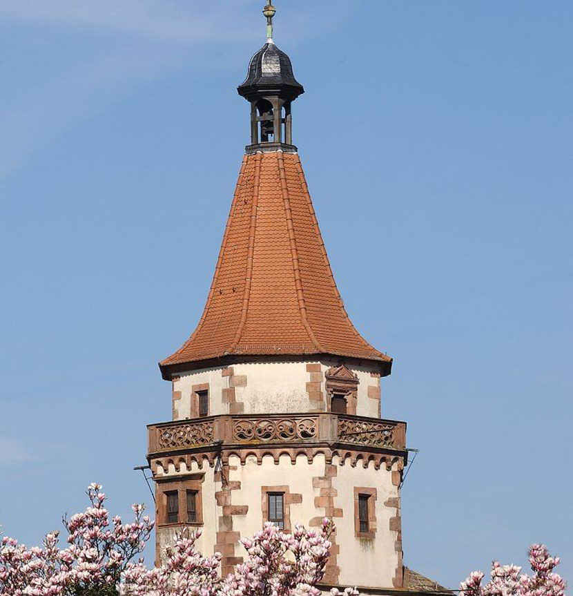 Narrenmuseum Niggelturm