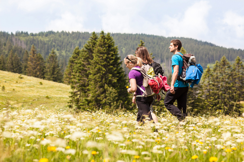 Schwarzwälder Frühlings-Tipps