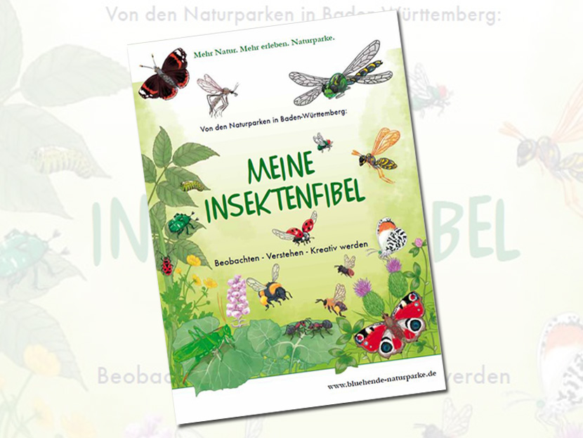 Insektenfibel für Kinder